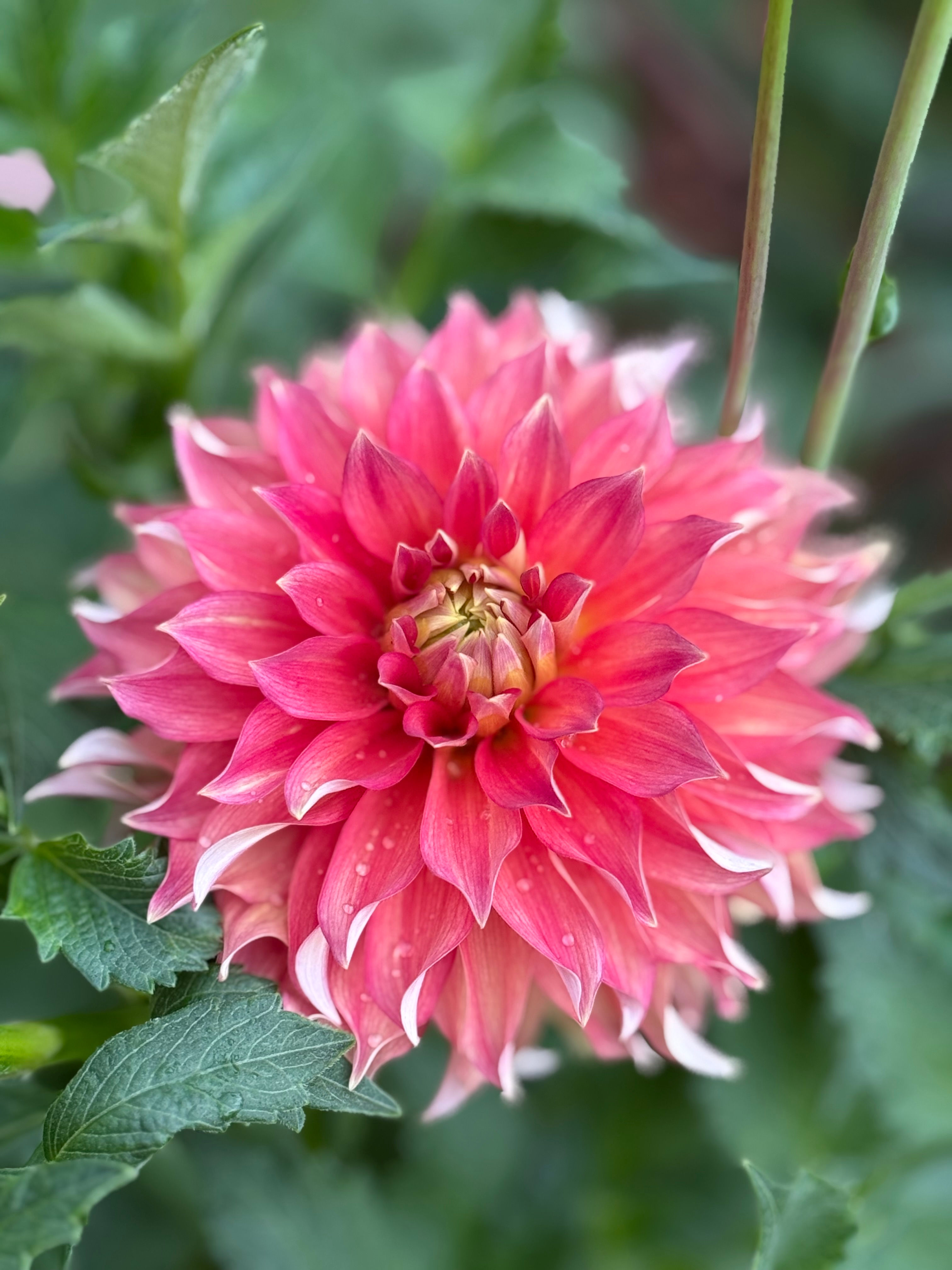 River's Summer Fling