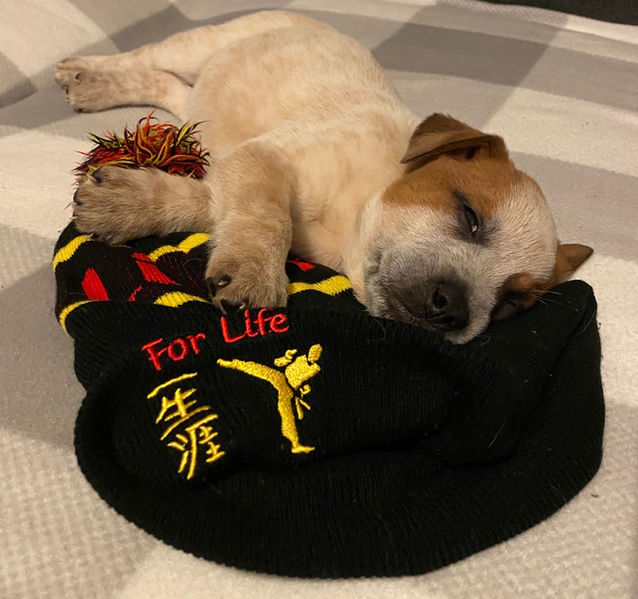 Photo from Karen (7).jpg