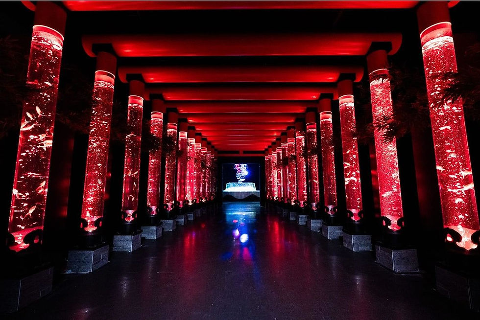 Art Aquarium Museum Ginza