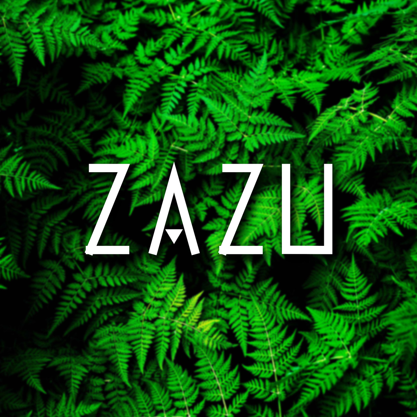 ZAZU | Events