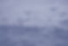 Seagulls flying away