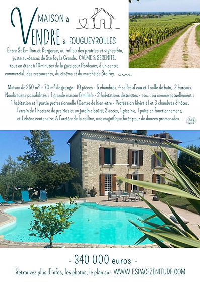 FLYER VENTEa.jpg
