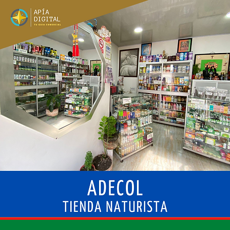 APÌA DIGITAL (2).png