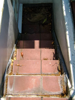 Orignal Tiles Surface