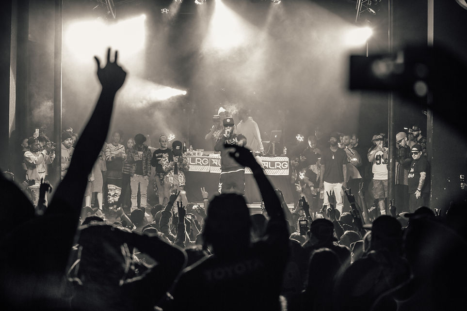 Concert Crowd Scene