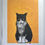 Thumbnail: Cat