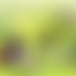 BVI’S FIRST EVER AGRI-HEALTH/WELLNESS EXPO