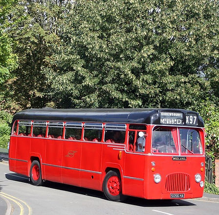 48765344533_19f358d3de_b (1).jpg