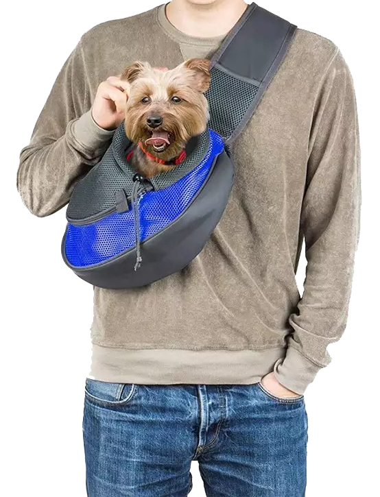 Thumbnail: Koala de Paseo - Talla L