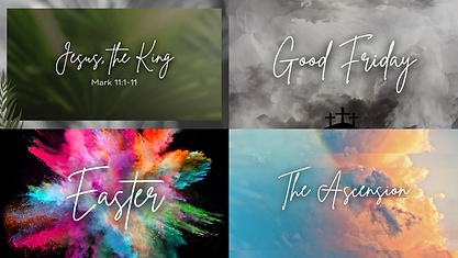 Untitled design (3).png