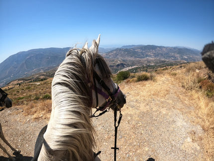 Ep2 Covid Times February to Nov 2021 