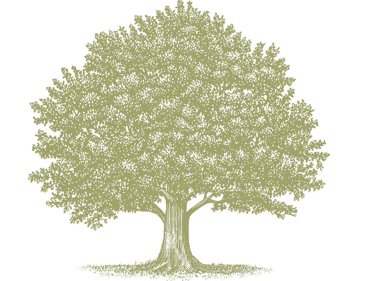 Writer: Paradise Valley Stamp Company