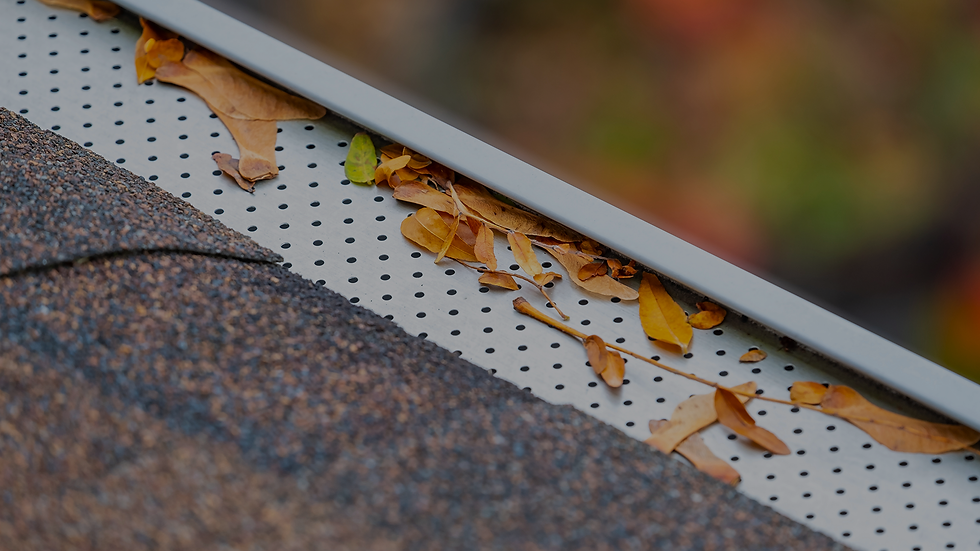 Leaf guard for gutters
