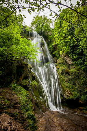 _MG_6423.jpg