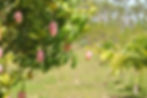 DSC_0019.JPG