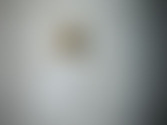 머무는 시간의 장면들 Scenes of Staying