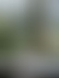 26 봄 컬렉션 OPEN WINDOW 컨셉 비하인드: 버지니아 울프와 열린 창