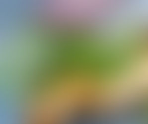 Розмарин в гомеопатии и в ароматерапии