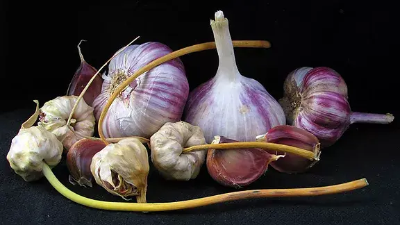 Purple Russian