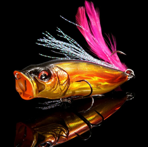 Popmax SP-C Respect Series | Berkshire Bass