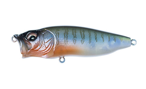 Megabass Popmax | Berkshire Bass