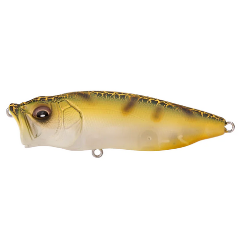 Megabass Popmax Limited Colors | Berkshire Bass