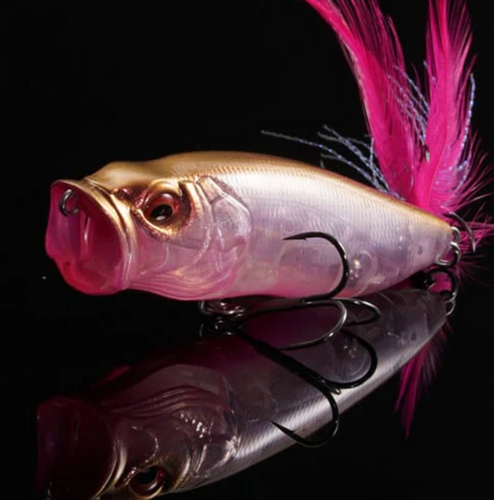 希少カラー POPMAX(SP−C) #RED AROWANA  ポップマックス Popmax SP-C Respect Series | Berkshire Bass
