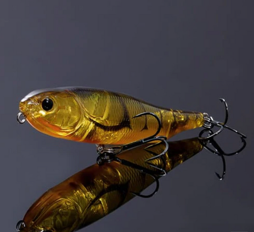 Giant Dog X SP-C Respect Series | Berkshire Bass