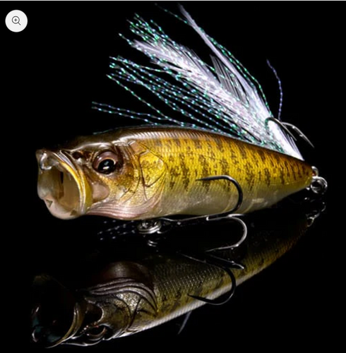 メガバス　限定　POP MAX (FISHING EIGHT SPECIAL) Amazon.co.jp: メガバスPOP-MAX限定生産FISHING EIGHT SPECIAL