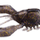 Thumbnail: Megabass Sleeper Craw 3" 1pk