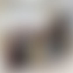 Root and soil sampling @AmazonFACE