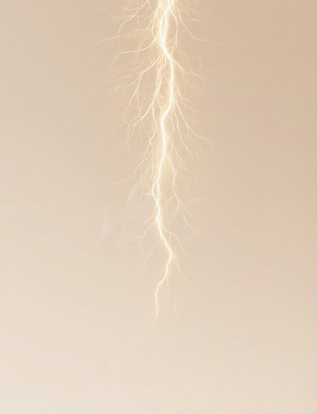 01ca99fc-6caa-4441-958f-0a7145d1ac9c.png