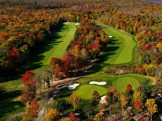 Fall Aerial.jpg.webp