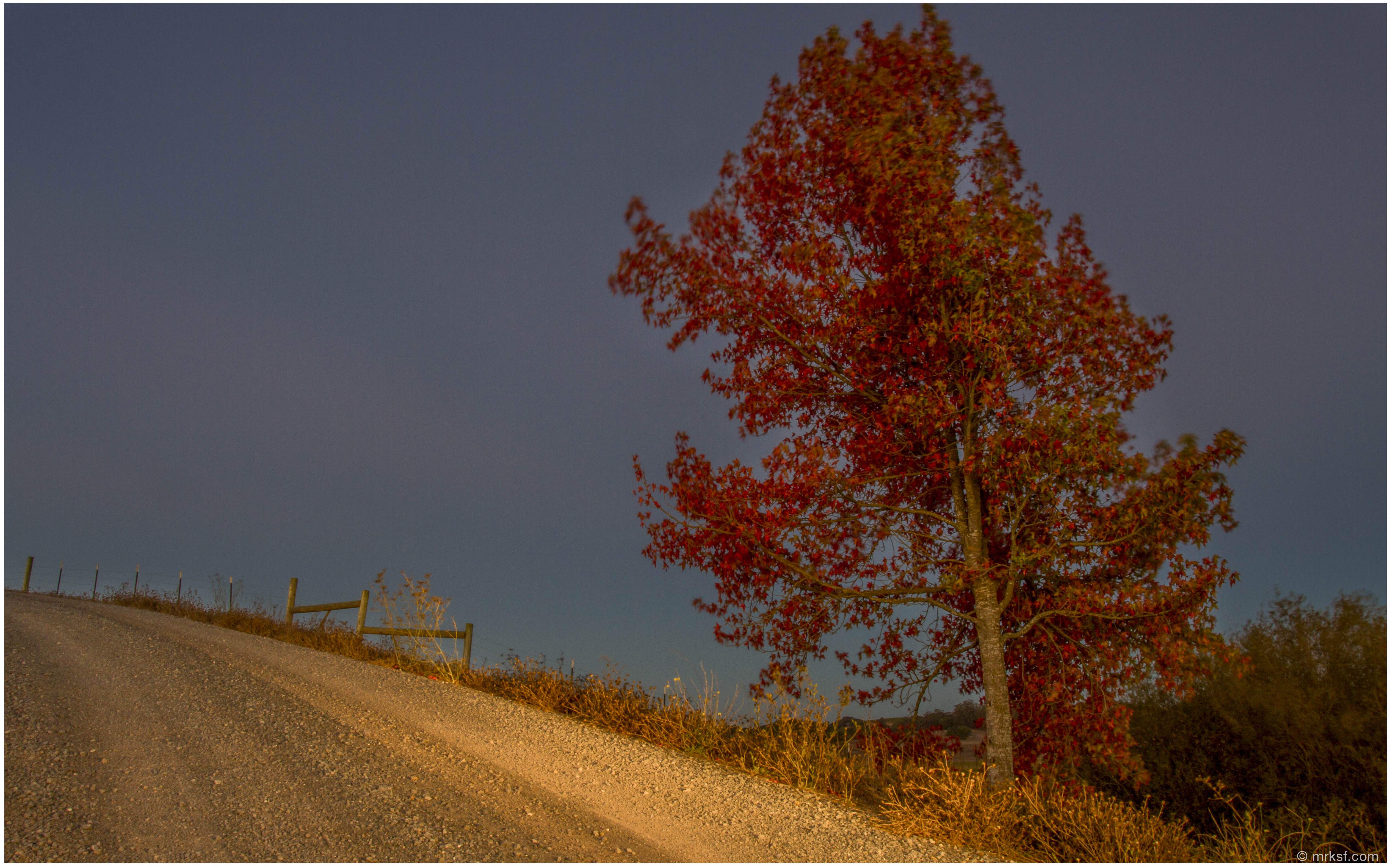 Fall