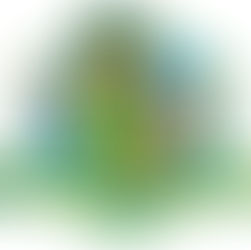 MAJOR SPONSOR, ENTRY LIST SET FOR RADICAL PERTH DEBUT