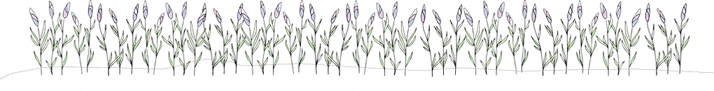 Footer.png