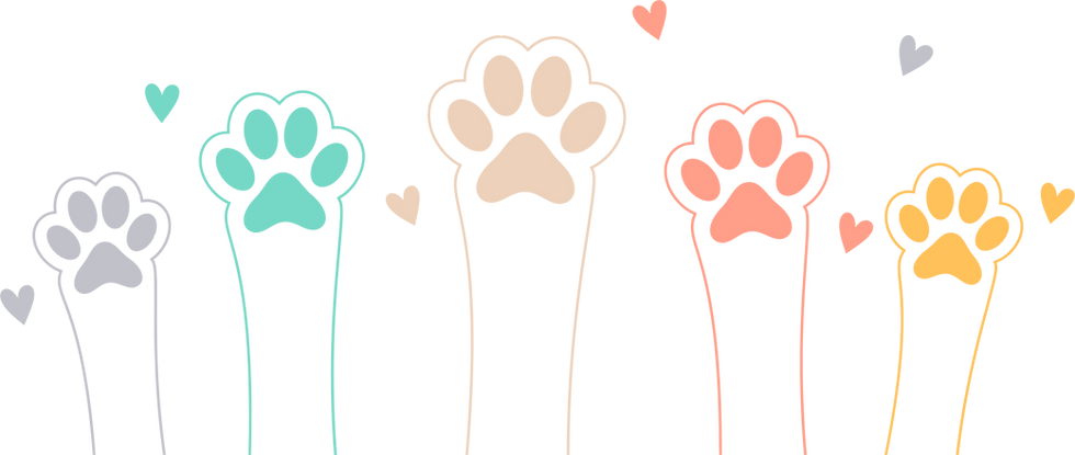 paws.png