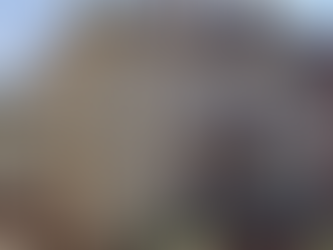 Une nouvelle adresse...