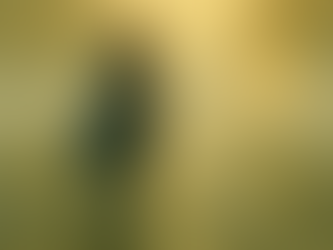 Capítulo 9 – O Coração das Brumas