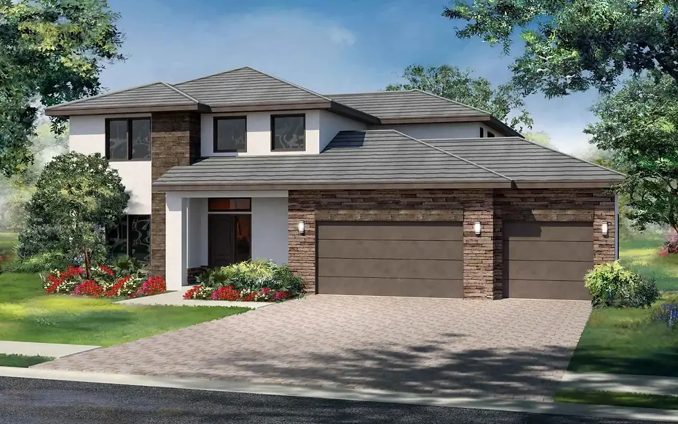House rendering