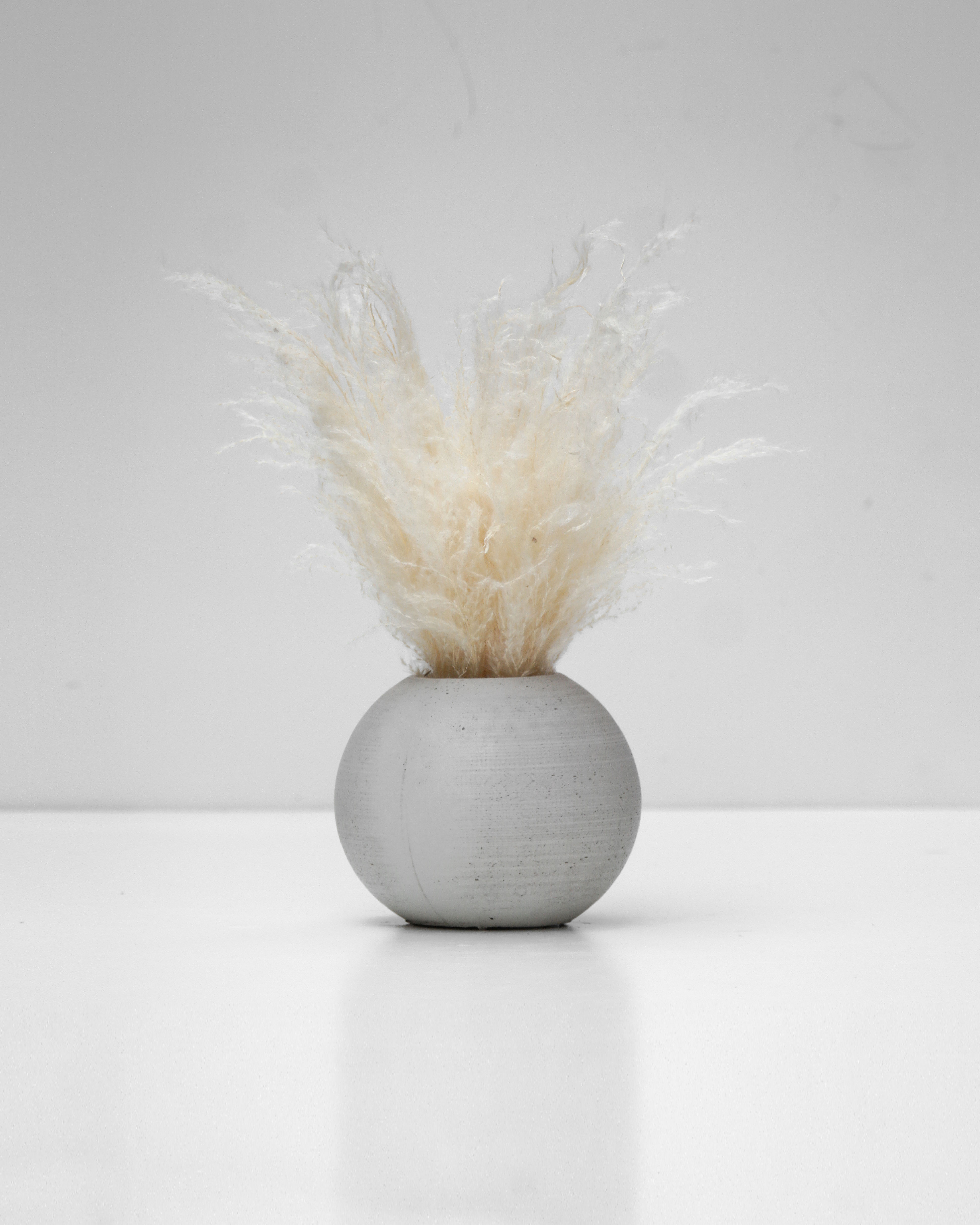 סידור פמפס בהיר בכד בטון