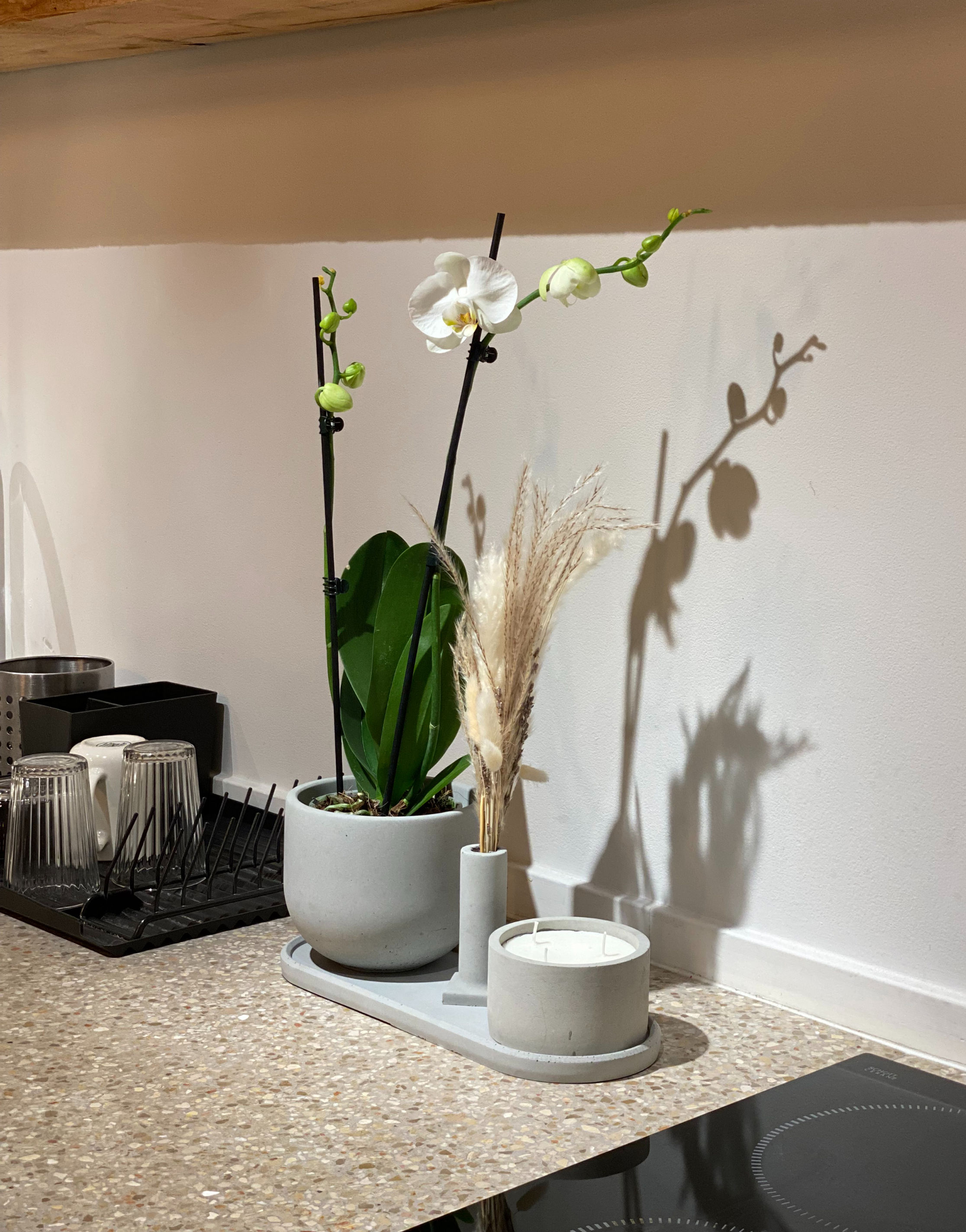 סט יוקרתי סחלב