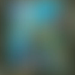 "Aufschrei" [2025]: Queerspace 