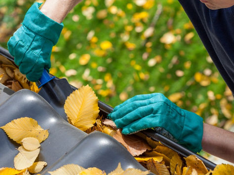 Frequently Overlooked Home-Maintenance Tasks