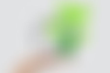 10 Essential Tips for Improving Indoor Air Quality