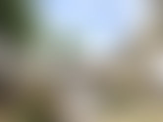 Hart van Hamme te Hamme