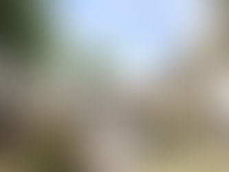 Hart van Hamme te Hamme