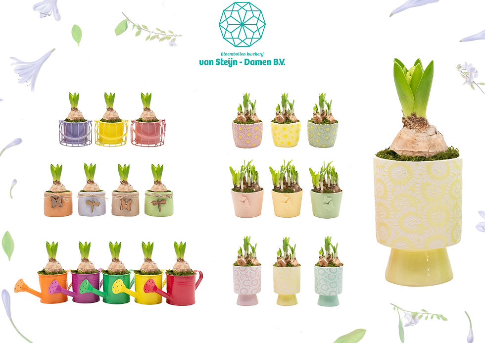 spring smaller.jpg