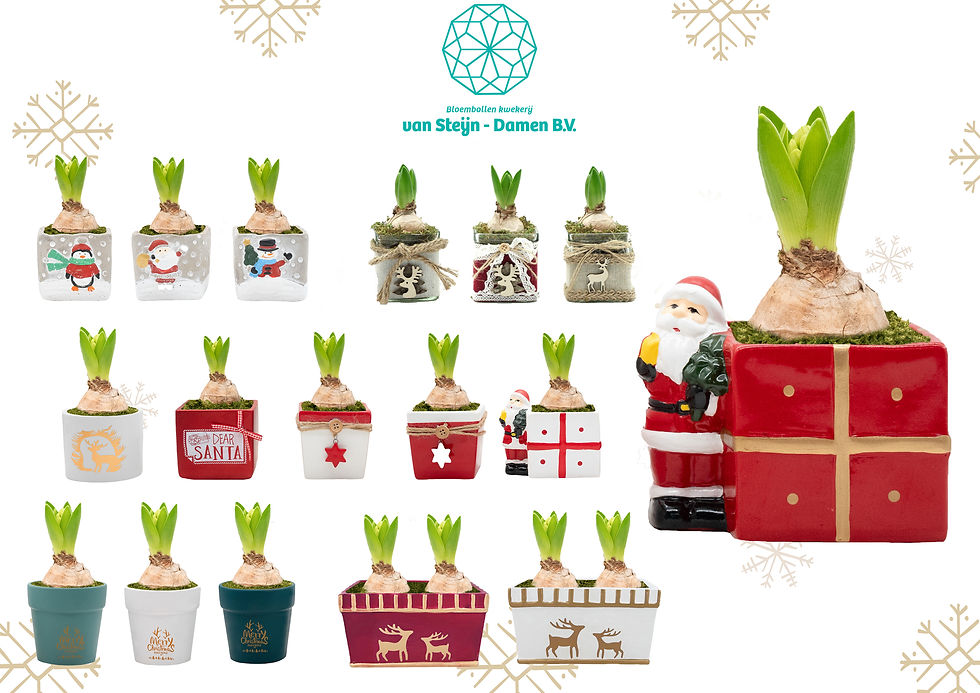 christmas page smaller pots (2).jpg