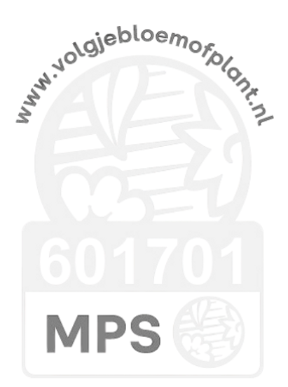 Ontwerp zonder titel-12.png